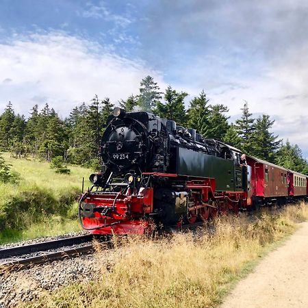 Fewo Fuchsbau Mit Dampfdusche #Kamin#Innenstadtnaehe#Netflix Von Harztraveler Bad Harzburg Exteriér fotografie